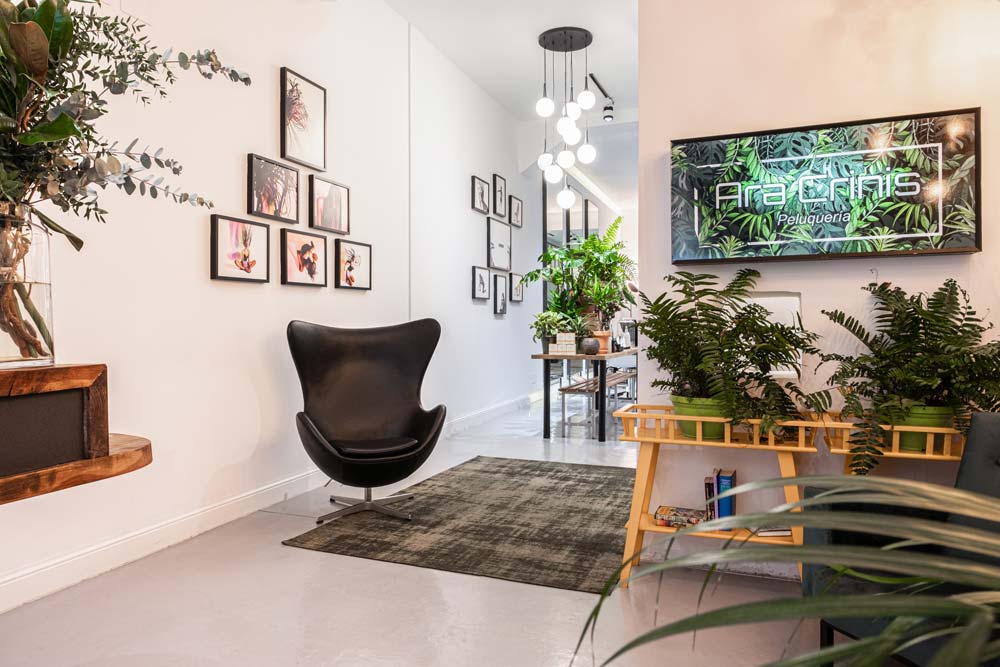 Ara Crinis La recepción