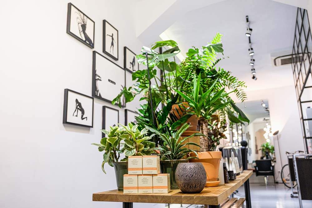 Ara Crinis Mesa de productos