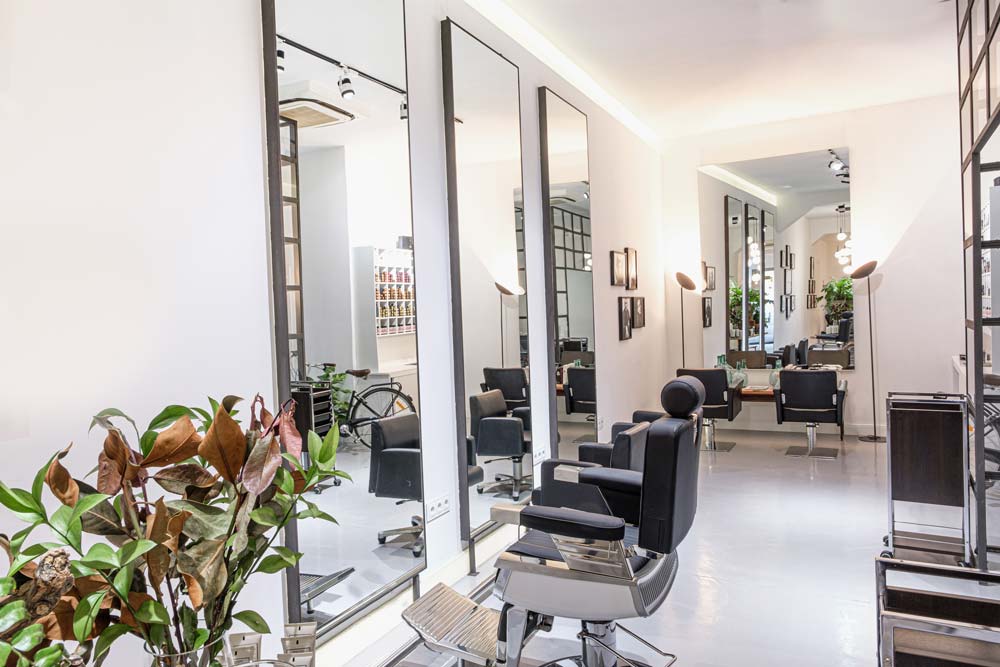 Ara Criniz Zona de peinados